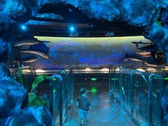 -陕西自然博物馆