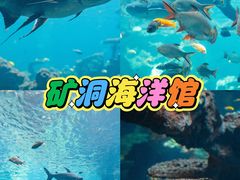 -长鹿旅游休博园