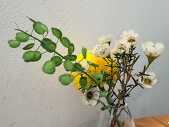 -gaga(深圳南山益田假日广场店)