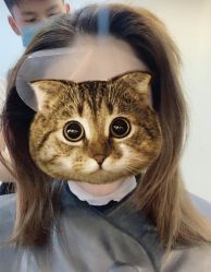 -OnHair Salon