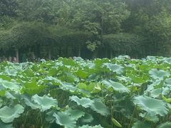 -四川博物院
