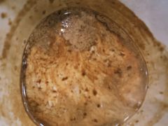 -LilBee Coffee