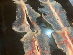 -京门活鱼馆·鱼火锅(百子湾（原红庙）店)