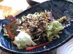 -天正河鲀·河豚亭(大连店)