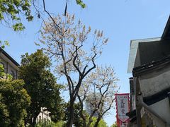 -院子餐厅·大锅菜·老杭帮(桥西直街店)