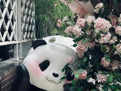 -轩客会(熊猫书店)