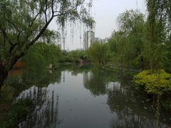 -圩墩遗址公园