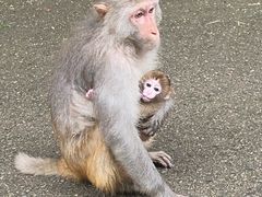 -黔灵山公园