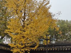 -西园戒幢律寺
