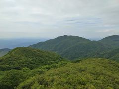 -大围山国家森林公园