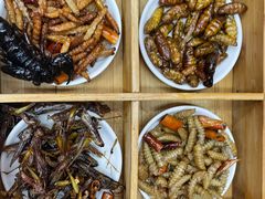 -昆虫窝子·特色云南菜(拓东路总店)