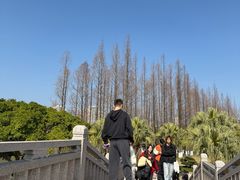 -江心屿景区