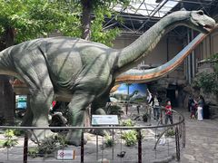 -国家自然博物馆