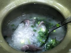 -先鲜鲫鱼粥