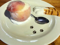 -more than meow吴止猫主题餐厅(承德 中船汇店)