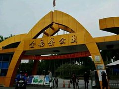 -金花茶公园