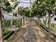 -美家乐农庄·露营·团建(大治路店)