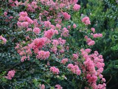 -杭州城北体育公园