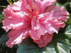 -猫记风味小吃店(永和里店)