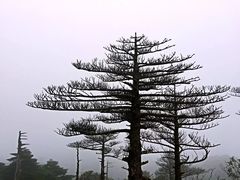 -苍山感通索道