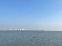 -大湾区中央湿地公园