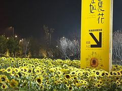 -小桃红·东北菜·春饼烤鸭(南阳湖街店)