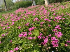 -白塘生态植物园