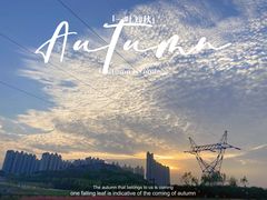 -济南国际园博园