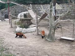 -上海野生动物园