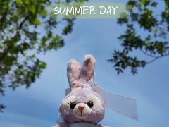 -永定河休闲森林公园