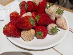 -第六季自助餐厅(王府井店)