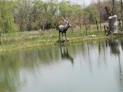 -溱湖国家湿地公园