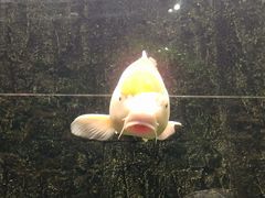 -弘安丽水温泉酒店