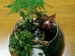 -A+匠心DIY手工坊·首饰·微景观