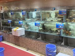 -天天渔港(杏林街店)