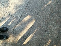 -傣妹火锅(四川北路店)