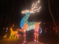 -河北村民俗体验园