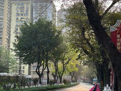 -蒋六十八梯眼镜面(渝中店)