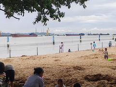 -南沙蒲洲花园