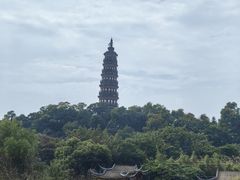 -顺峰山公园