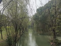 -同里国家湿地公园