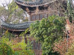 -宝界山林公园