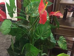 -武林峰餐厅(龙湖星悦荟店)