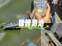 -练塘古镇