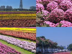 -海心沙亚运公园