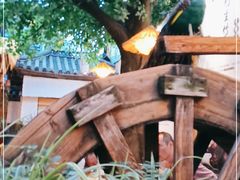 -大理董·董家小厨野生菌火锅(古城旗舰店)