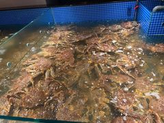 -东海怡品海鲜豆捞(星街坊店)