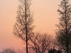 -贡湖湾湿地公园