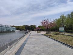 -金陵图书馆