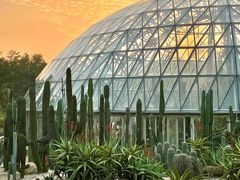 -深圳仙湖植物园